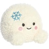 Aurora Festive Palm Pals Chuck Snowball Stuffed Animal – Fun Seasonal Plush for Kids and Adult Collectors – Perfect for Holiday Decorations or Gifts – White 4.5 Inches