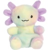 Aurora Adorable Palm Pals Xochitl Rainbow Axolotl Stuffed Animal – Fun Collectible Plush for Kids and Adult Collectors – Perfect for Decorating Rooms and Birthday Gifts – 5 Inches