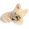 Aurora® Adorable Miyoni® Tots Sleepy French Bulldog Pup Stuffed Animal – Lifelike Details Make a Cherished Companion – Perfect for Decorating Bedrooms or Classrooms – Brown 10 Inches