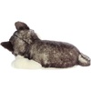 Aurora® Adorable Miyoni® Tots Sleepy Husky Pup Stuffed Animal – Lifelike Details Make a Cherished Companion – Perfect for Decorating Bedrooms or Classrooms – Gray 10 Inches