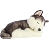 Aurora® Adorable Miyoni® Tots Sleepy Husky Pup Stuffed Animal – Lifelike Details Make a Cherished Companion – Perfect for Decorating Bedrooms or Classrooms – Gray 10 Inches