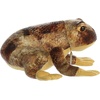 Aurora® Realistic Miyoni® American Bullfrog Stuffed Animal – Lifelike Details Make a Cherished Companion – Perfect for Decorating Bedrooms or Classrooms – Brown 11 Inches