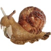 Aurora® Realistic Miyoni® Garden Snail Stuffed Animal – Lifelike Details Make a Cherished Companion – Perfect for Decorating Bedrooms or Classrooms – Brown 7.5 Inches