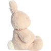 Aurora Vibrant Spring Dumplin’ Bunny Stuffed Animal – Perfect For Pretend Play and Seasonal Storytelling – Adorable Decorations For The Season of Renewal – Beige 8.5 Inches