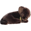 Aurora® Adorable Miyoni® Tots Sleepy Chocolate Lab Pup Stuffed Animal – Lifelike Details Make a Cherished Companion – Perfect for Decorating Bedrooms or Classrooms – 10 Inches
