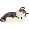 Aurora® Adorable Miyoni® Tots Sleepy Husky Pup Stuffed Animal – Lifelike Details Make a Cherished Companion – Perfect for Decorating Bedrooms or Classrooms – Gray 10 Inches