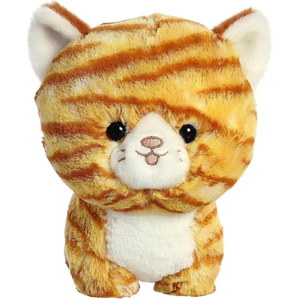 image:imageAurora  Teddy Pets  7 Orange Tabby Cat