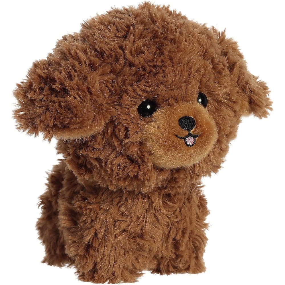 image:imageAurora  Teddy Pets  7 Shih TzuPoodle