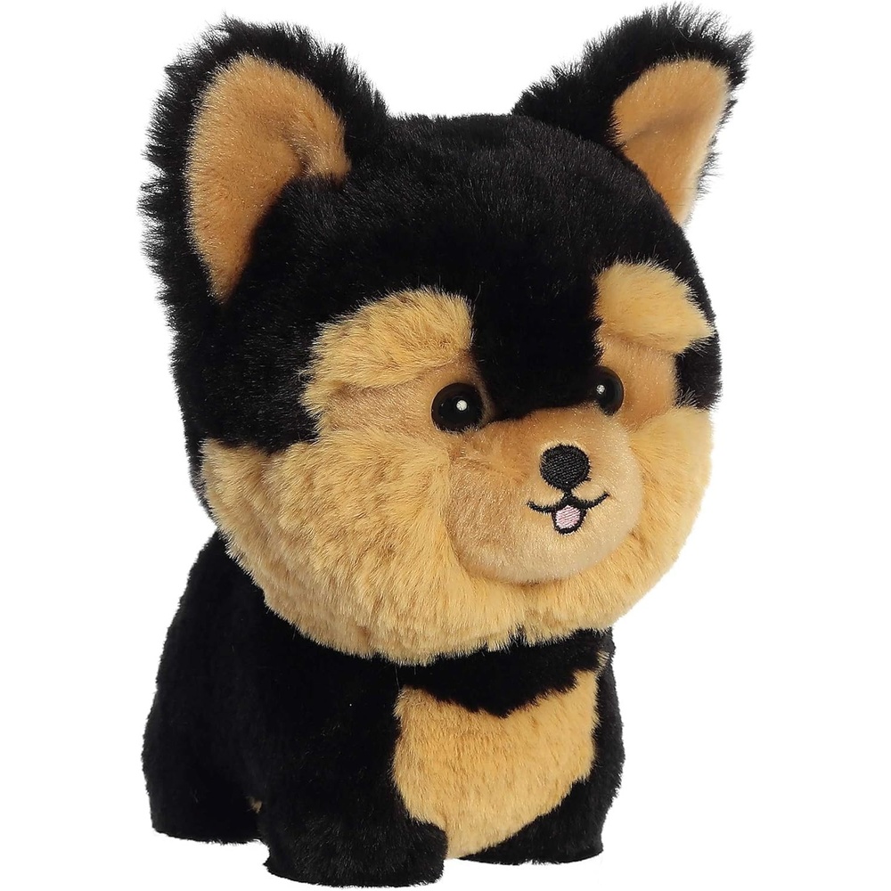 image:imageAurora  Teddy Pets  7 Shih TzuTeddy Pets