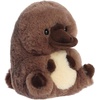 Aurora® Playful Rolly Pet™ Porter Platypus™ Stuffed Animal – Compact Size for On-the-Go Fun – for Adults, Kids, Birthdays, and Anniversaries – Brown 5 Inches
