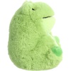 Aurora® Playful Rolly Pet™ Riberto Frog™ Stuffed Animal – Compact Size for On-the-Go Fun – for Adults, Kids, Birthdays, and Anniversaries – Green 5 Inches