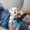 WubbaNub Giraffe Detachable Pacifier(White with black spots WubbaNub Cow Detachable Pacifier)