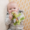 WubbaNub Infant Pacifier – Fairytale Dragon