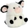 DAISY COW