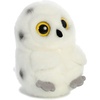 HOOT