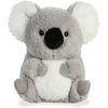 ROLLY PET