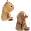 Aurora® Eco-Friendly Eco Nation™ Reversible Eco Pairs: Capybara and Sloth Stuffed Animal – Environmental Consciousness – Recycled Materials – 6.6 Inches