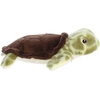 Aurora® Responsibly Made Eco Nation™ Eco Softies™ Sea Turtle Stuffed Animal – Ideal for Playtime Adventures – Perfect for Birthdays or Just Because – Green 7.5 Inches