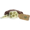 Aurora® Responsibly Made Eco Nation™ Eco Softies™ Sea Turtle Stuffed Animal – Ideal for Playtime Adventures – Perfect for Birthdays or Just Because – Green 7.5 Inches