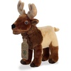 Aurora World Eco Nation – 8″ Koala(Elk)