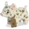 Aurora World Eco Nation – 8″ Koala(Spotted Pig)