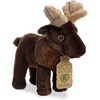 Moose