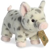 Spotted Pig