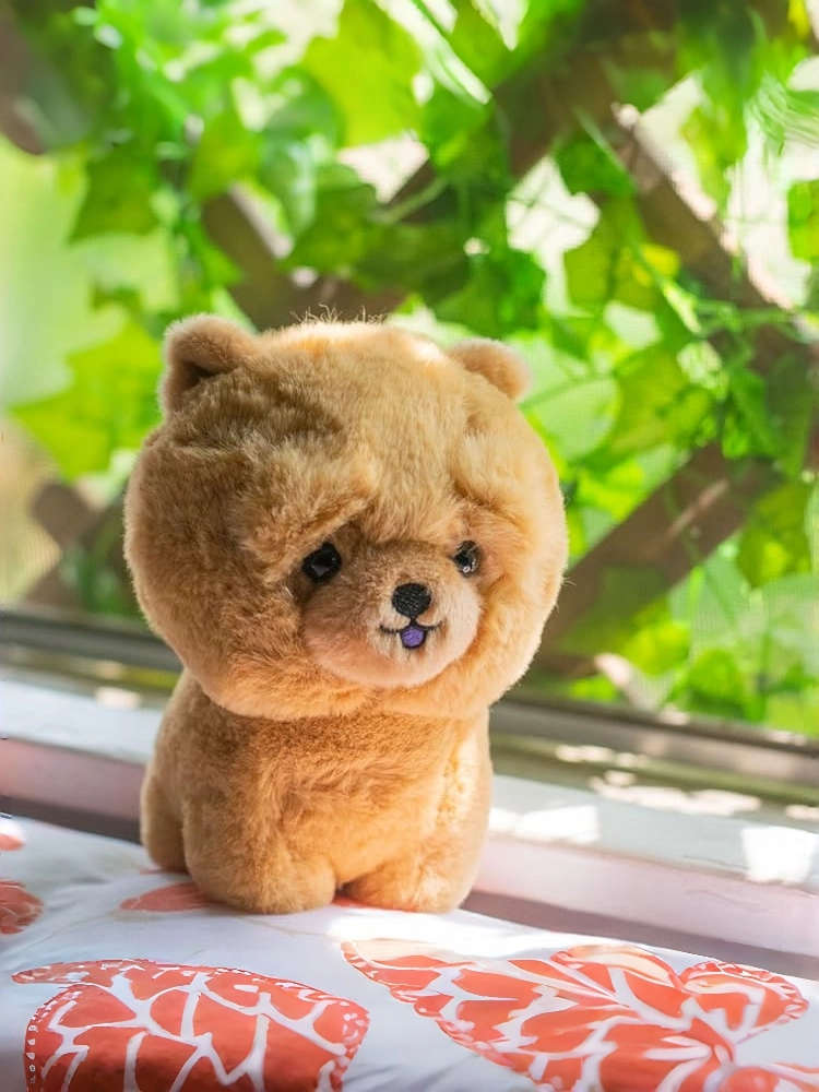 AURORA Collecting dolls and plush toys